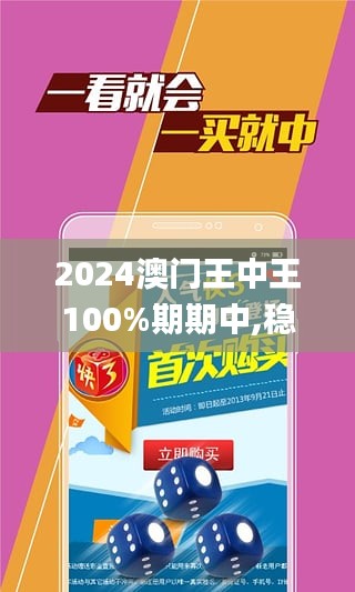 2024-2025澳门王中王100%期期中,精选解释解析落实