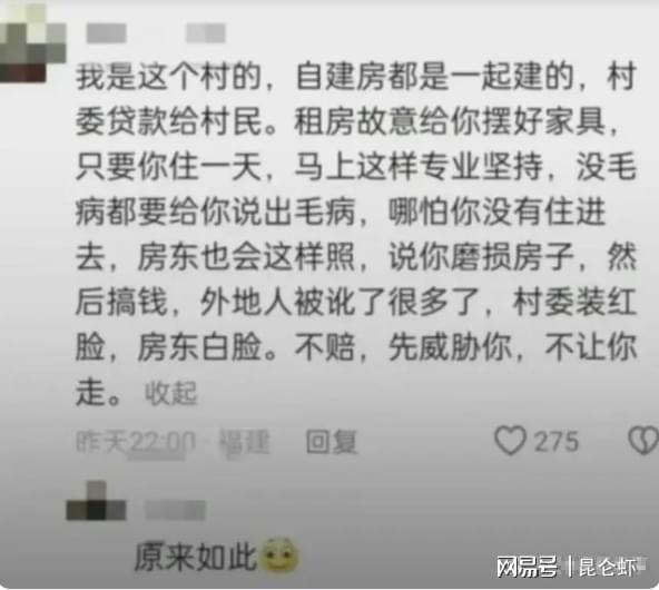 元氏最新血案，揭示背后的真相与社会反思