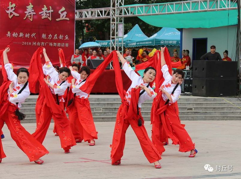 最最新广场舞，舞动生活的魅力与活力源泉