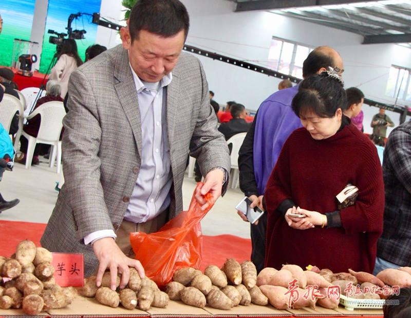 青岛芋头最新价格动态及相关市场分析