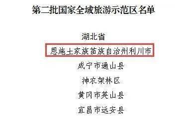 利川最新中标公告，揭示成功背后的故事