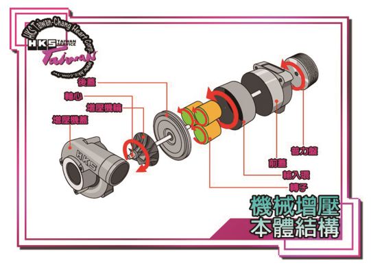 最新养兔设备，提升养兔业效率与品质的关键